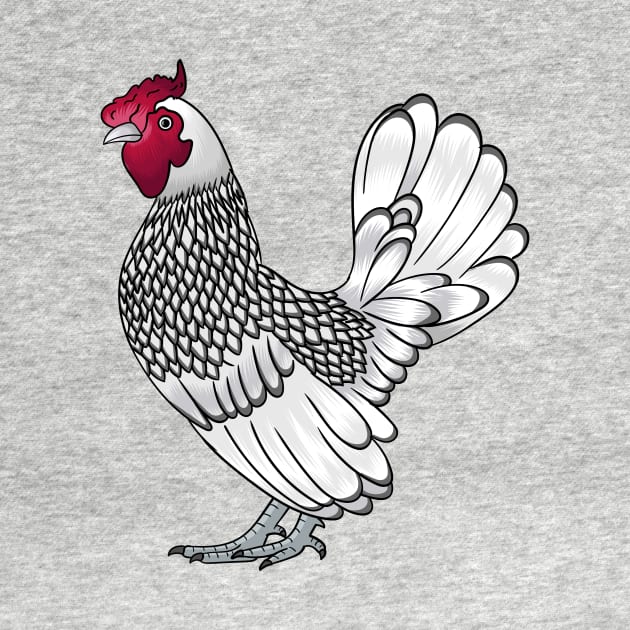 Sebright chicken cartoon illustration by Cartoons of fun